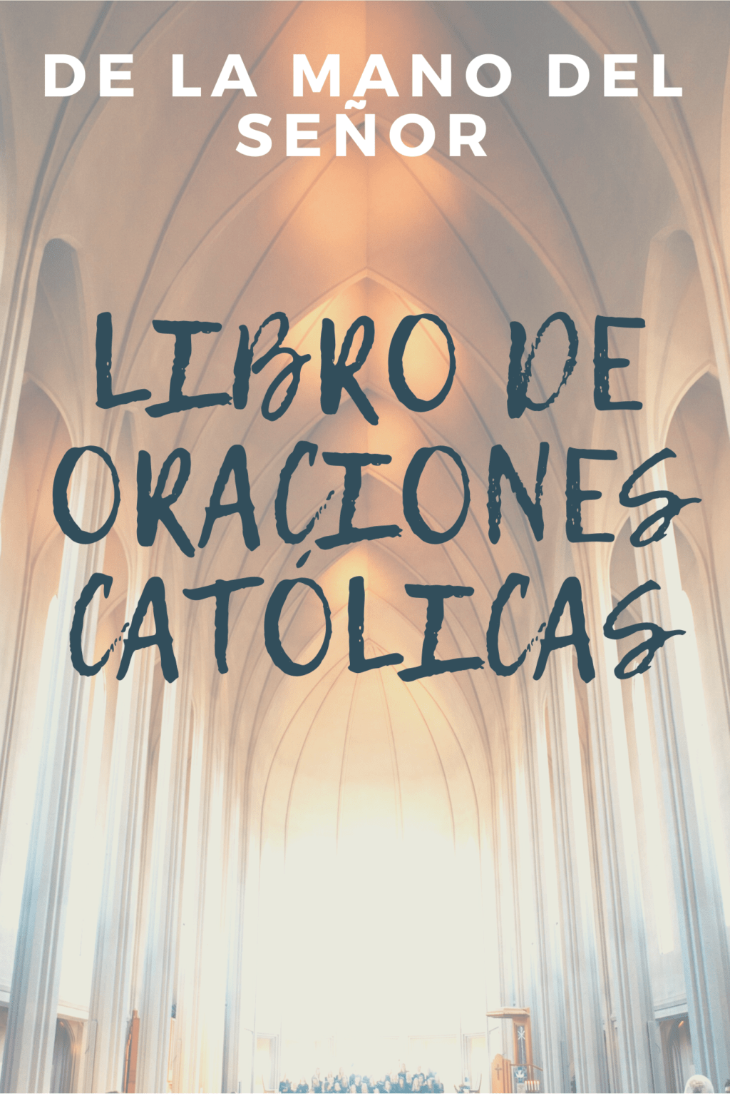 Evangelio de Hoy 24 de Agosto de 2025