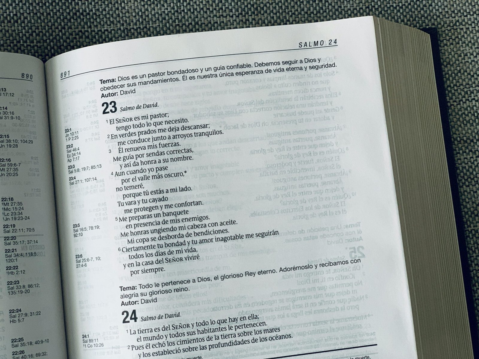 el libro de los salmos